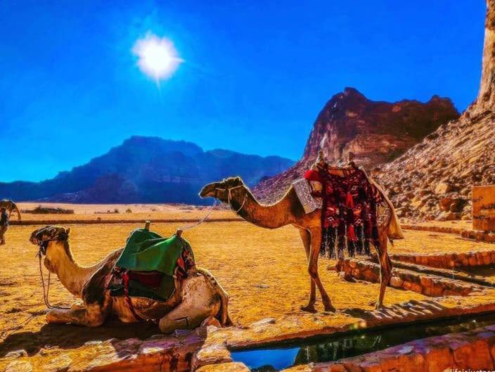 Moon City With Jeep Trips Wadi Rum Eksteriør billede