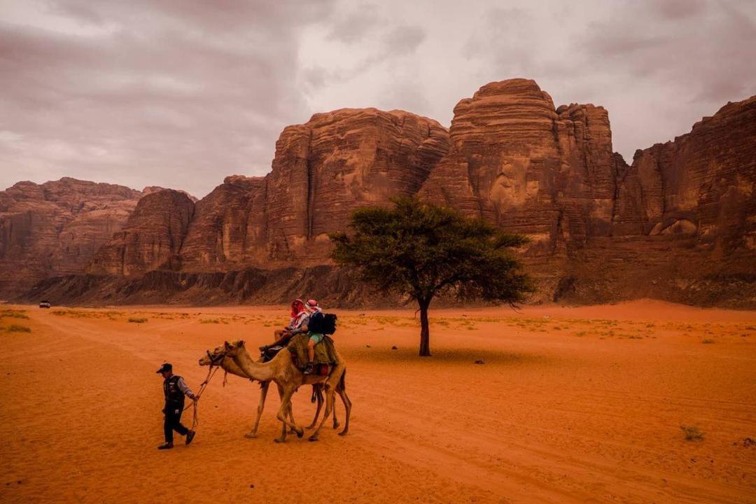 Moon City With Jeep Trips Wadi Rum Eksteriør billede