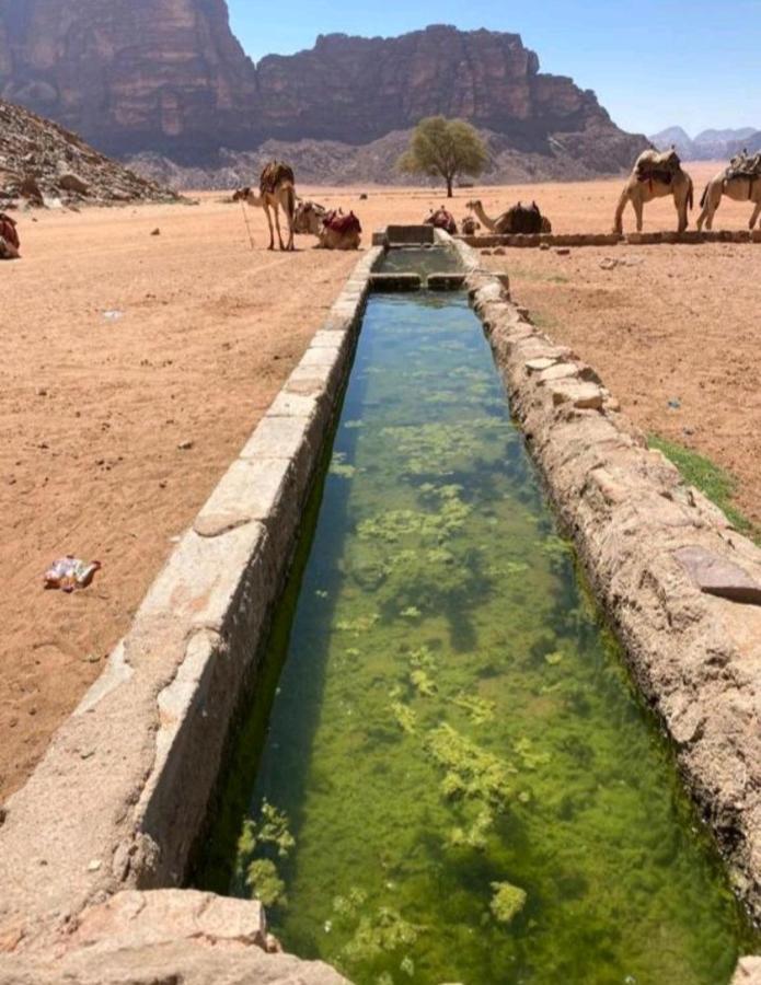 Moon City With Jeep Trips Wadi Rum Eksteriør billede